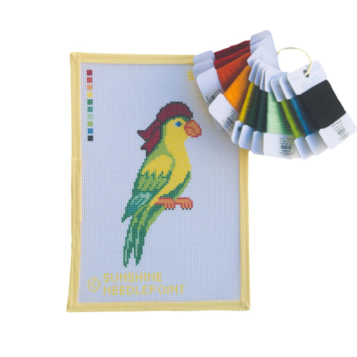Green Pirate Parrot Kit