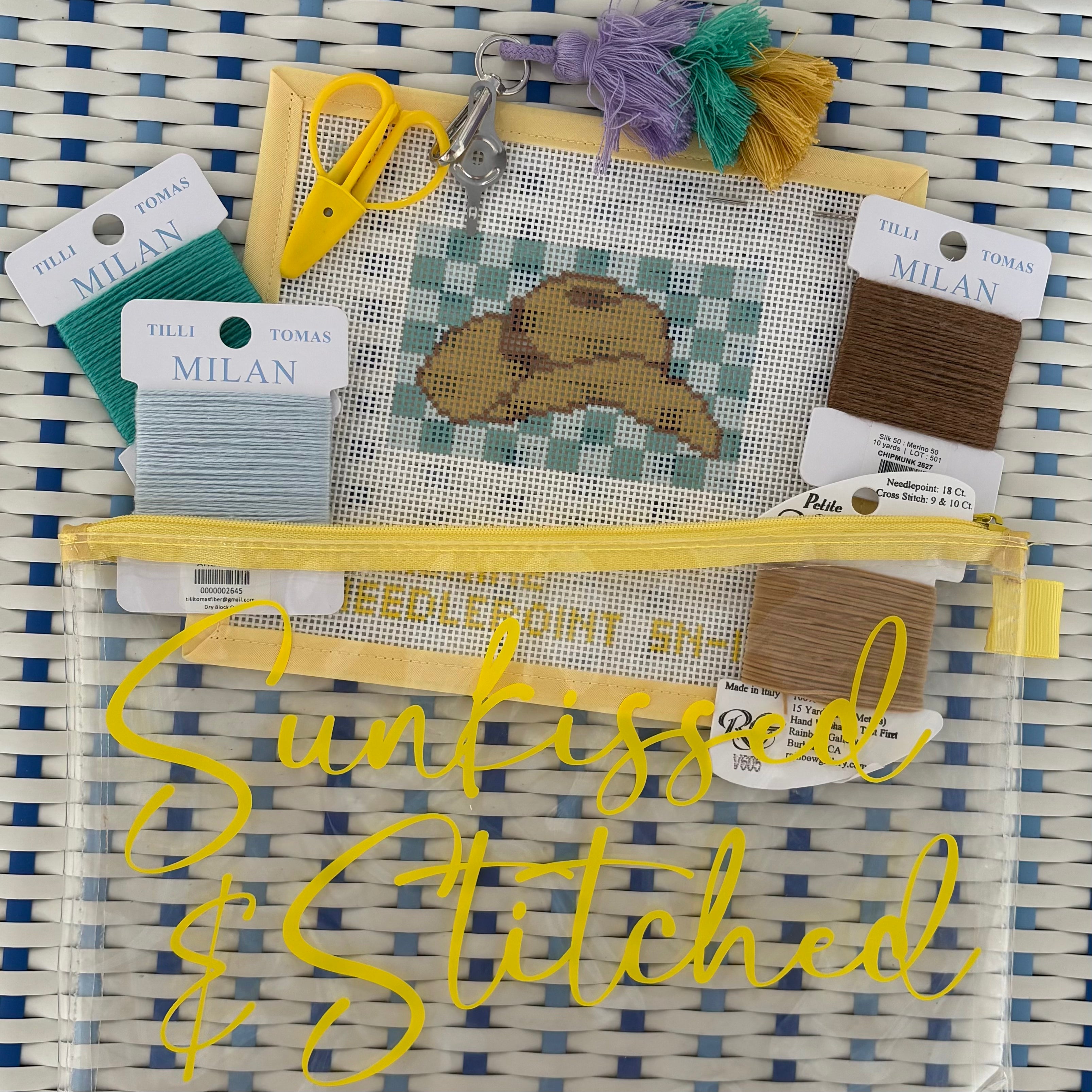 SN Needlepoint 101 Class