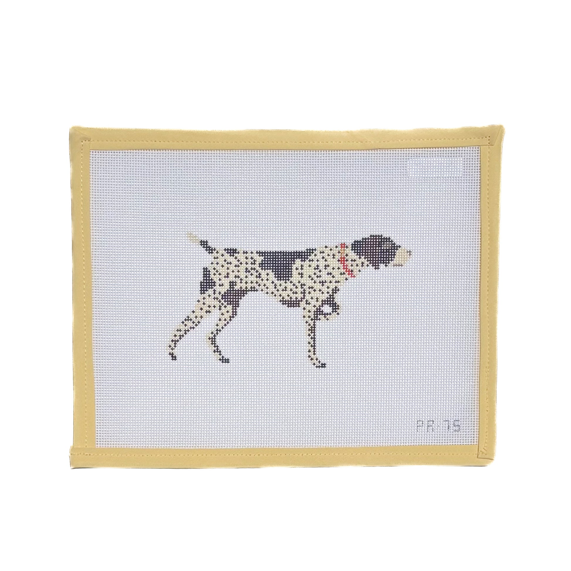 German Shorthaired Pointer