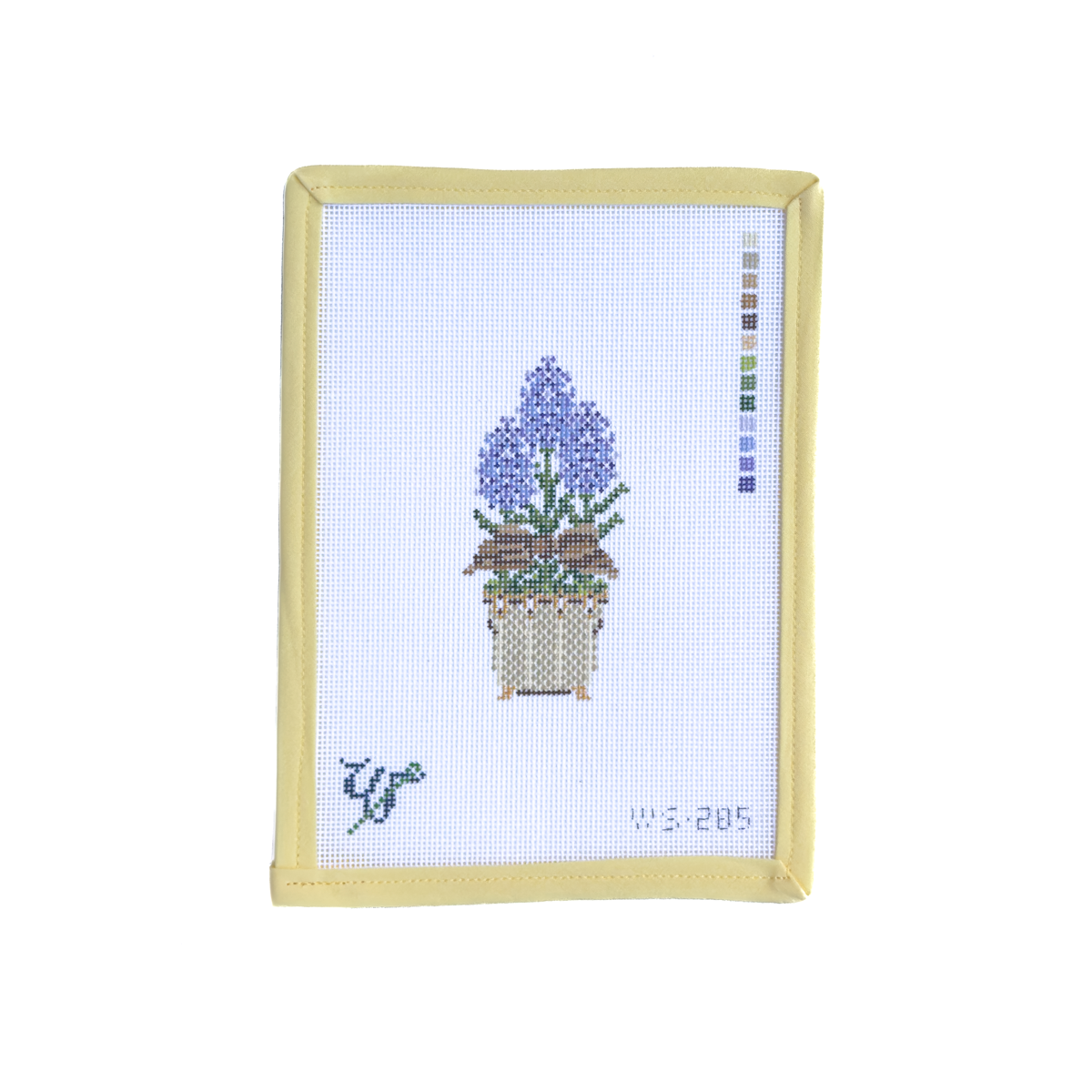 Hyacinth Topiary