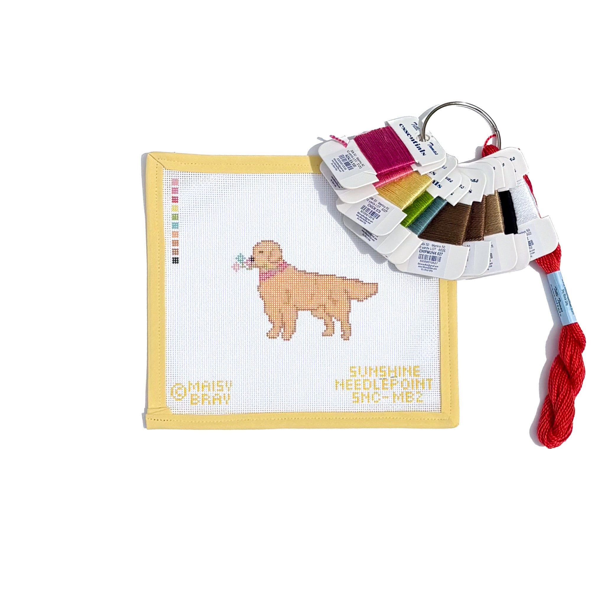 Ruby the Retriever Kit